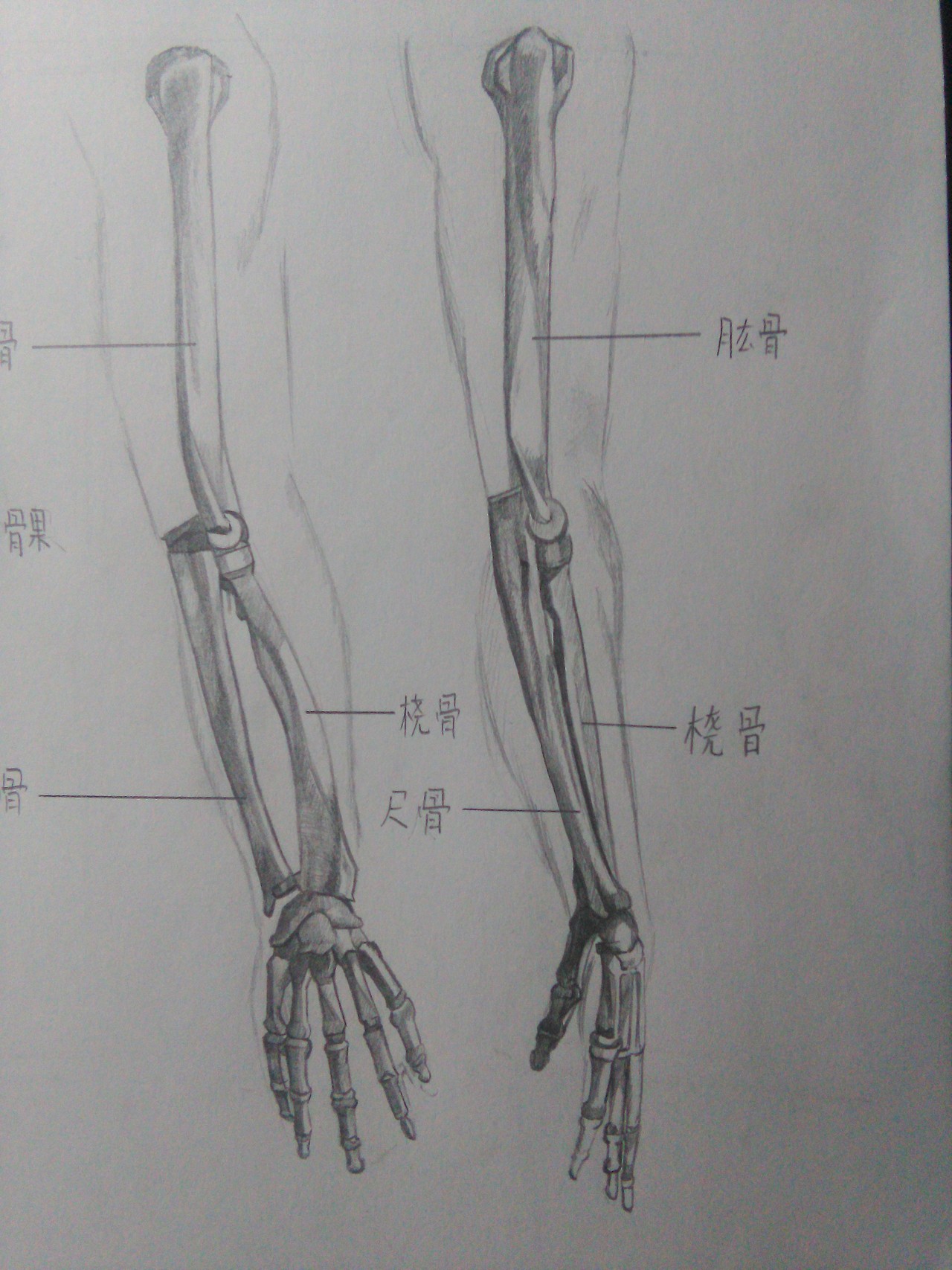 人頭插畫(huà)（圖ZMTQ0Mjk2NTA0） - 創(chuàng)作習(xí)作 - 站酷設(shè)計(jì)師緣泣腥蠛原創(chuàng)素材 - 站酷ZCOOL