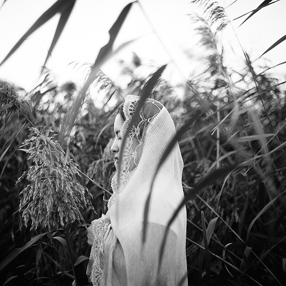 阿拉伯少女在希望的田野上