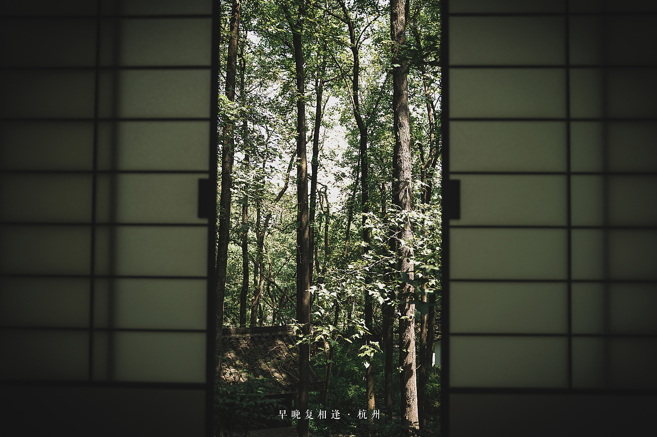 “早晚复相逢”