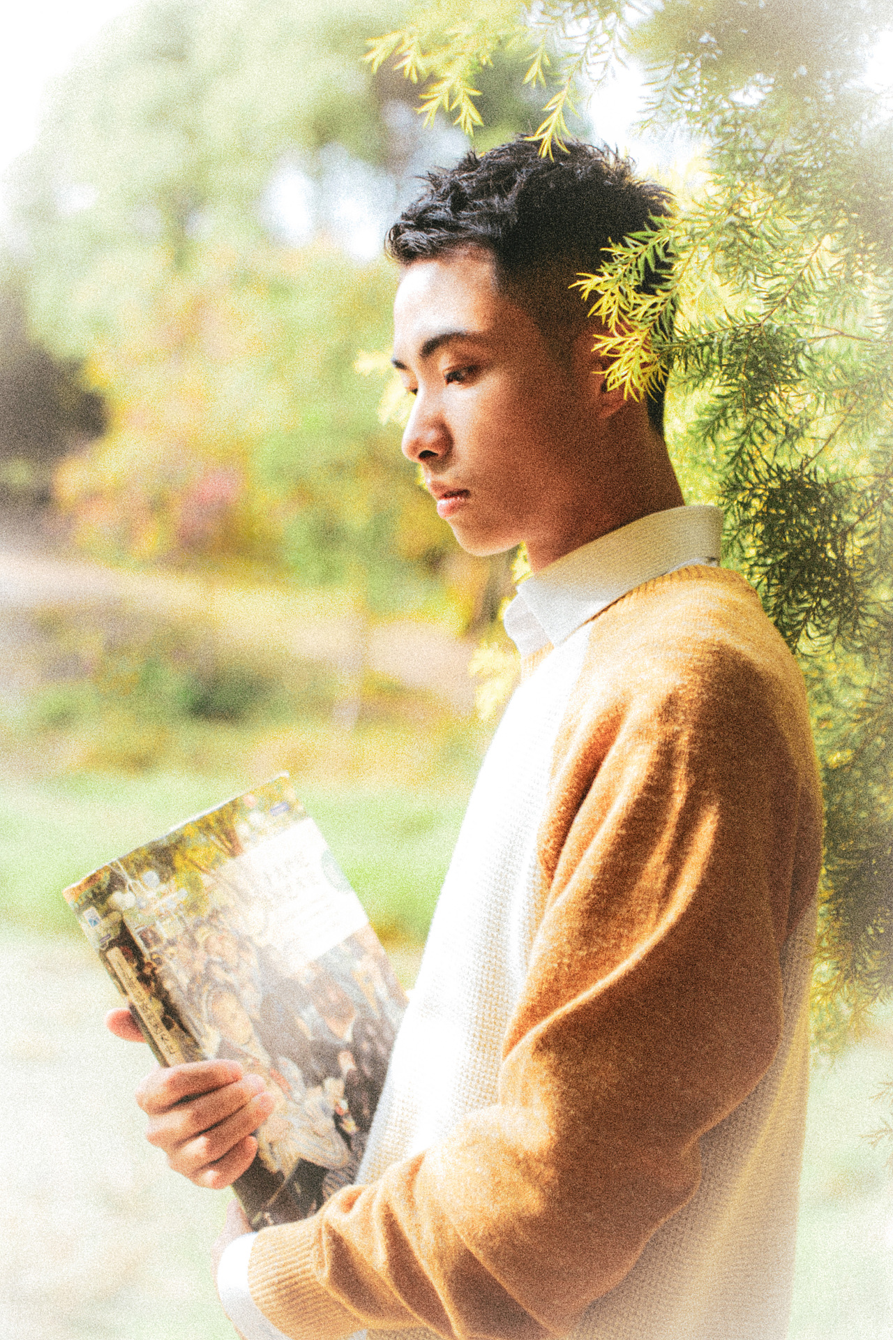 玫瑰与小鹿 ——