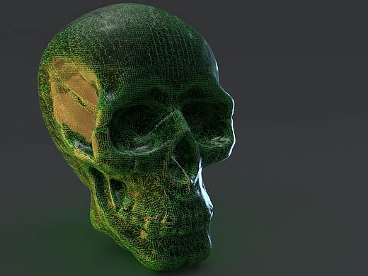 开裂是塑料骷髅