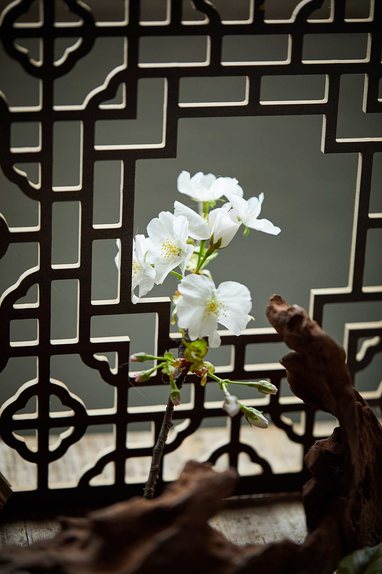 寻味江南 | 西湖龙井（图ZMjQ3MjEwODc2） - 美食摄影 - 站酷设计师梅食间原创素材 - 站酷ZCOOL