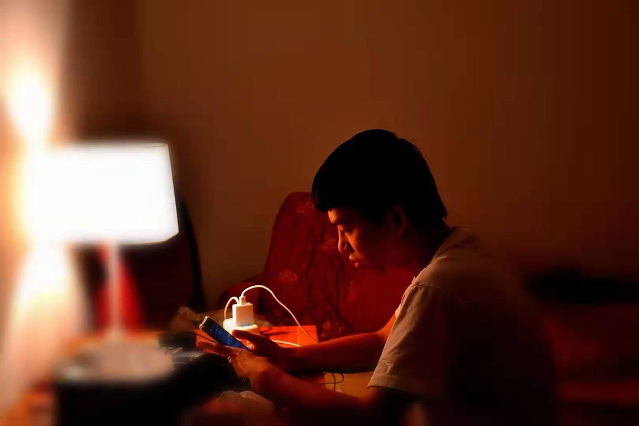 梦里花落知多少