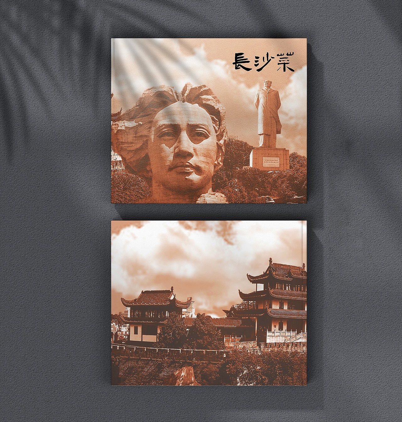 金言设计×长沙菜菜谱设计案例