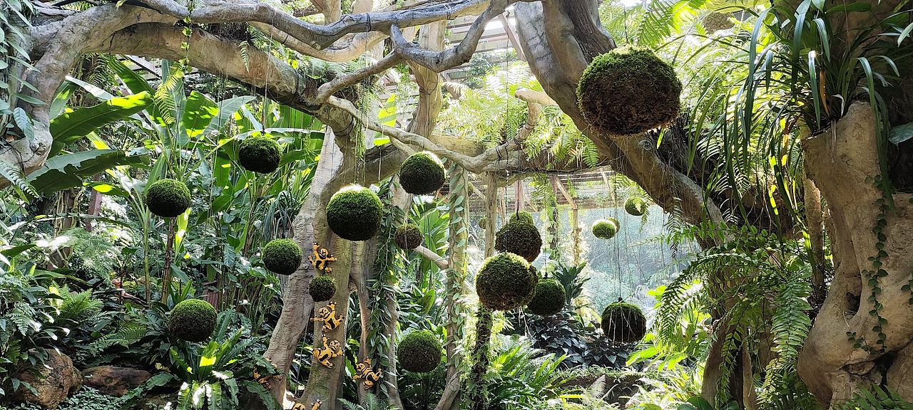 3年（图ZMzYxNzkzNzAw） - 风光摄影 - 站酷设计师木糖醇饕餮原创素材 - 站酷ZCOOL