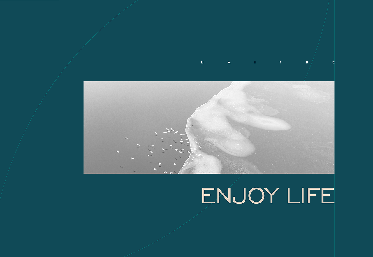 曼亭鸟门窗 | 朴术品牌策划