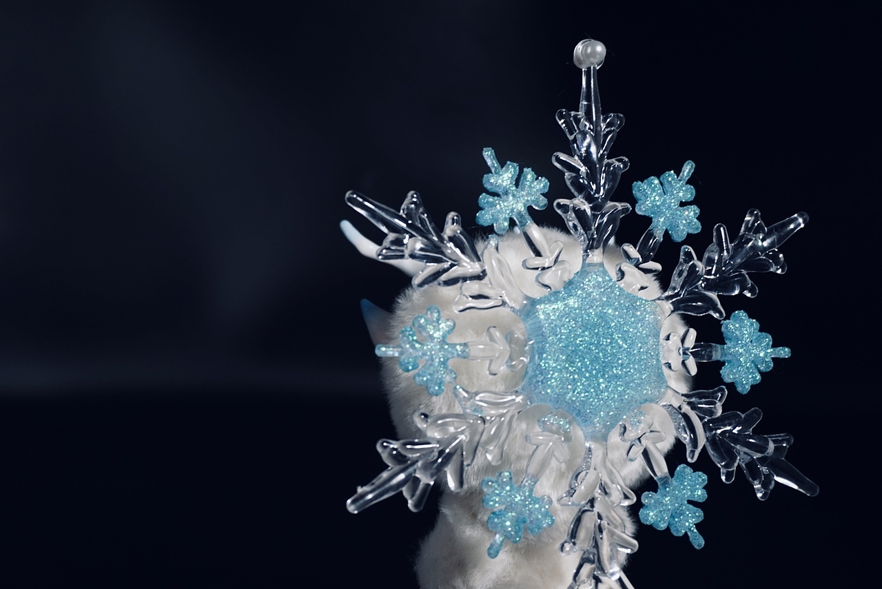 不关门-二十四节气X灵兽食趣甜筒系列