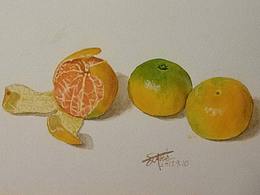 水彩-水果和蔬菜