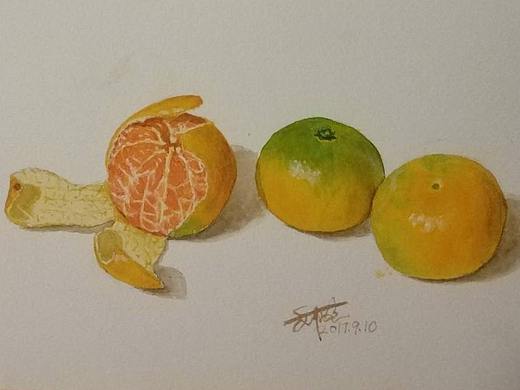 水彩-水果和蔬菜（个人主页-ZMzU0NTM2NDg=） - 绘画 - 站酷设计师阿修罗21原创素材 - 站酷ZCOOL