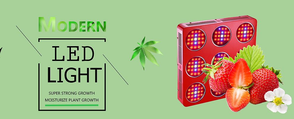 阿里巴巴店铺重装修（图ZODczNzA2ODg=） - 电商 - 站酷设计师孤独丶King原创素材 - 站酷ZCOOL