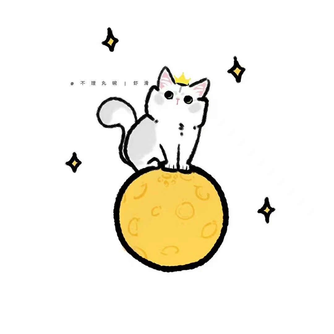 2021年中秋的小猫咪