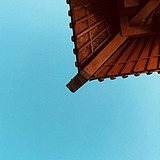 17号牌汤圆的头像