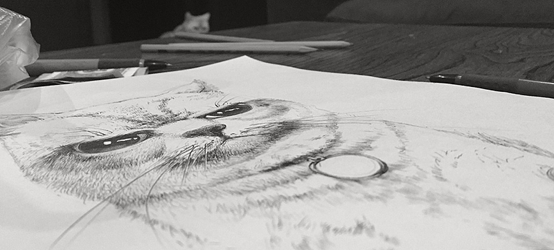 圆珠笔画猫科动物（图ZNDY4NTY0NDQ=） - 艺术插画 - 站酷设计师BIUBIU已经被注册原创素材 - 站酷ZCOOL