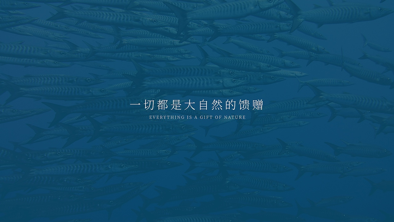 七鲜码头 品牌设计提案