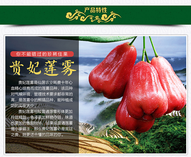 水果莲雾详情