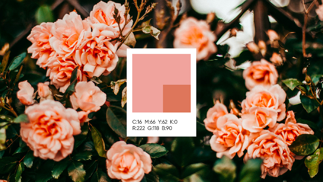 LOGO设计-宝糖图形LOGO提案（图ZMTYxNzgyNTE2） - Logo - 站酷设计师李晓驰Alex原创素材 - 站酷ZCOOL