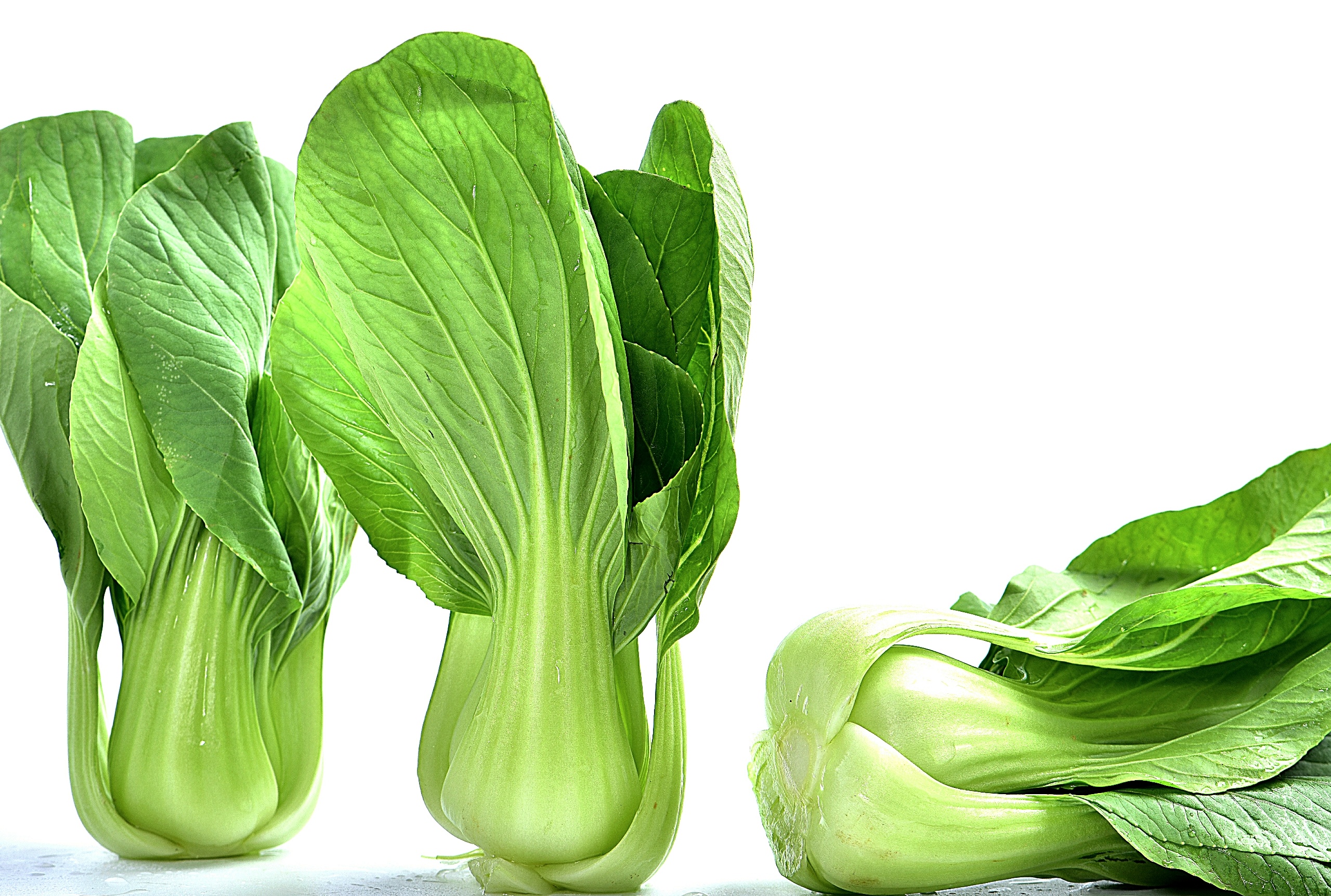 蔬菜|摄影|产品摄影|韩摄食觉 - 原创作品 - 站酷 (zcool)