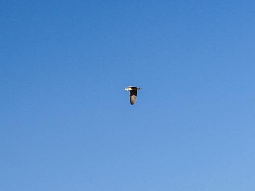 山行（个人主页-ZMjUwMTA1NTY=） - 风光摄影 - 站酷设计师Juzel原创素材 - 站酷ZCOOL