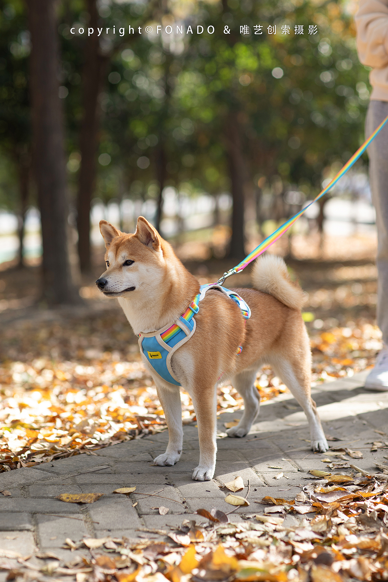 【FONADO】宠物牵引绳全案平面摄影&视频拍摄&详情设计（图ZMjgyNjkwMzky） - 产品摄影 - 站酷设计师唯艺创索视觉策划原创素材 - 站酷ZCOOL
