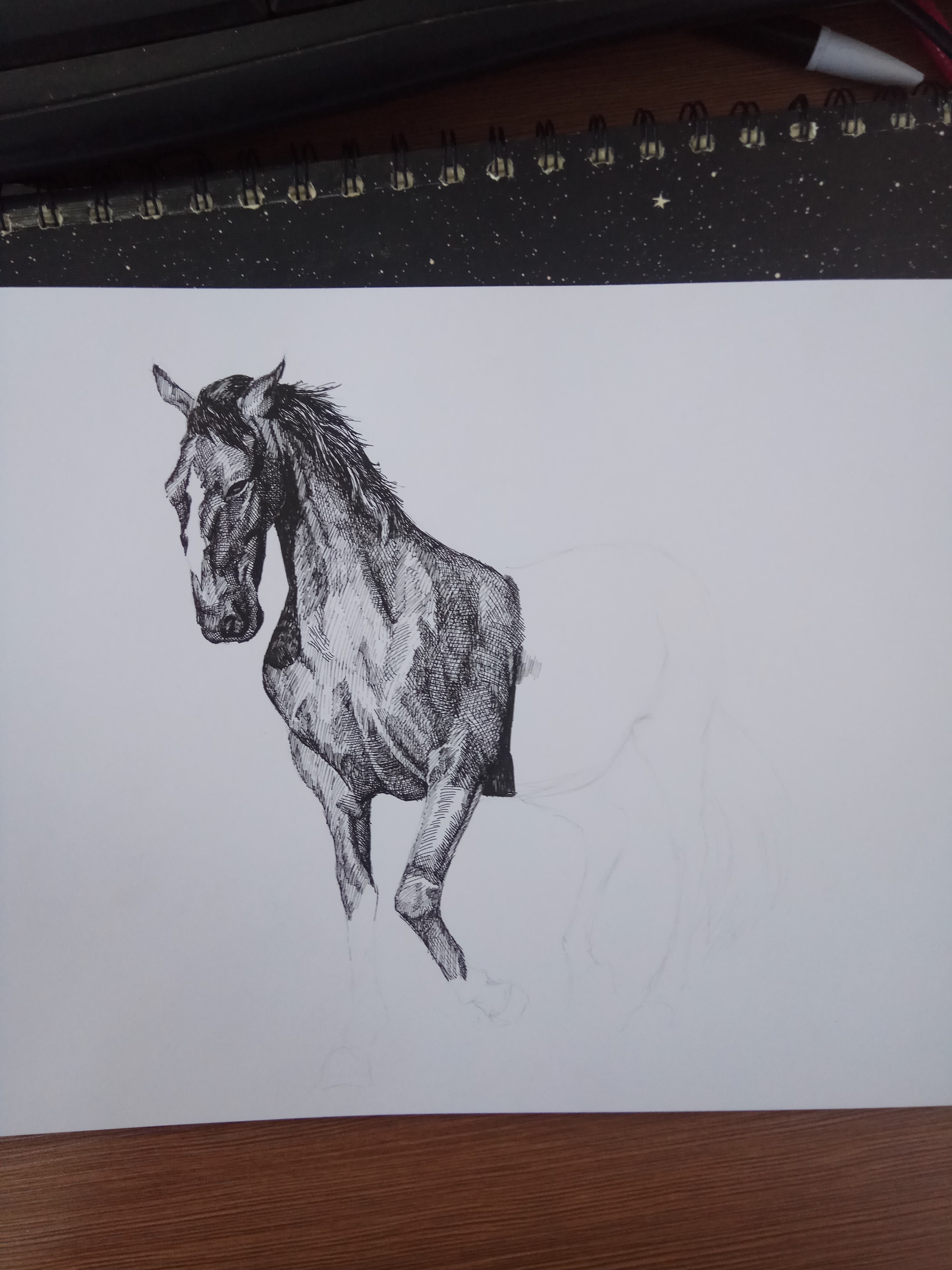 一匹马|纯艺术|钢笔画|fieryu - 原创作品 - 站酷 (zcool)