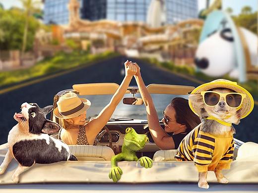 微信付费推广——人宠嘉年华（个人主页-ZNDE0MjE4OTI=） - 宣传物料 - 站酷设计师啊哈时刻原创素材 - 站酷ZCOOL