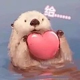 鹅妹子嘤丶的头像