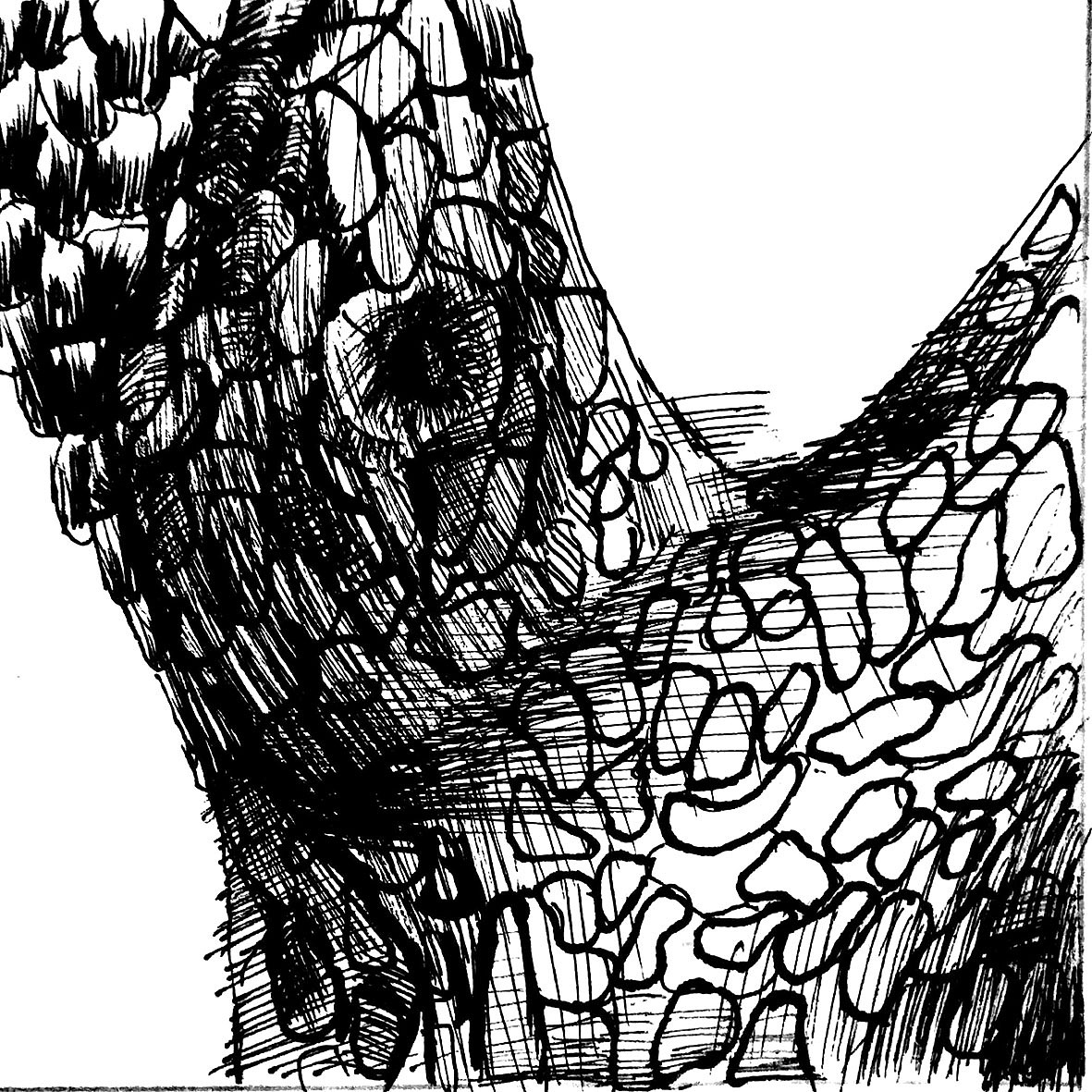 图形提取（图ZMTk0NzQ4Mjc2） - 图案 - 站酷设计师小辣娜原创素材 - 站酷ZCOOL