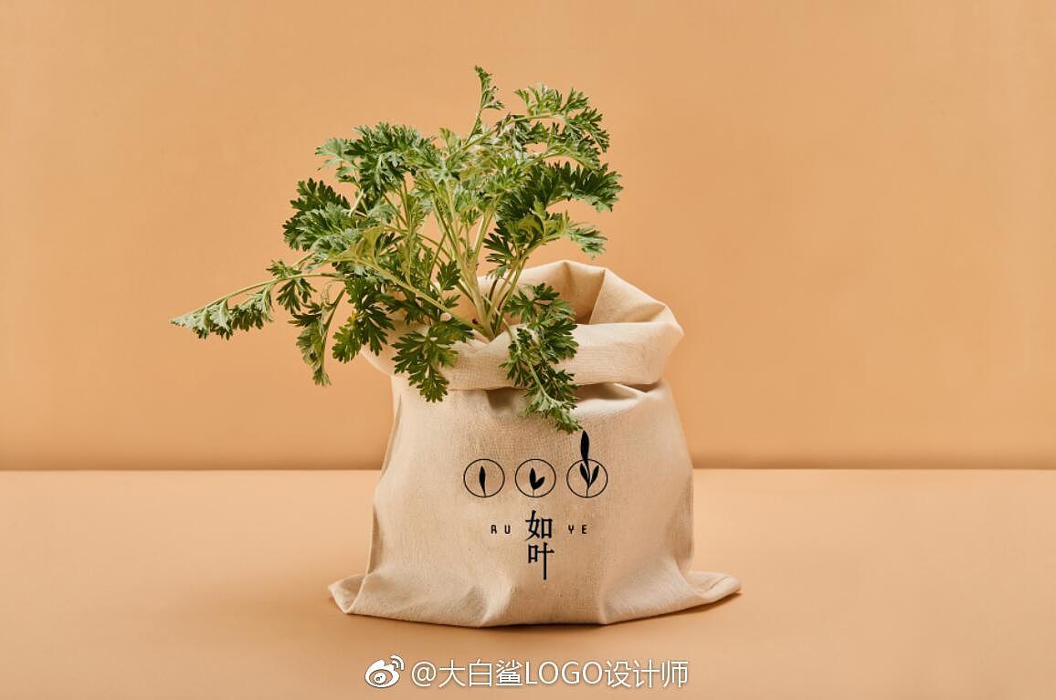 LOGO设计：如叶（图ZMTgzMDUxMTU2） - 品牌 - 站酷设计师大白鲨LOGO设计师原创素材 - 站酷ZCOOL