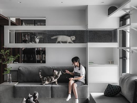 季意｜私宅｜猫狗星球