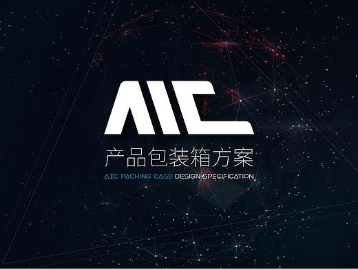 AIC产品包装箱方案