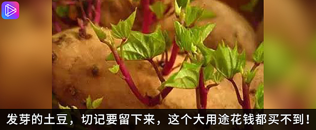 猎奇类素材作品（图ZMjE4NDc0ODMy） - 其他平面 - 站酷设计师设计矿原创素材 - 站酷ZCOOL