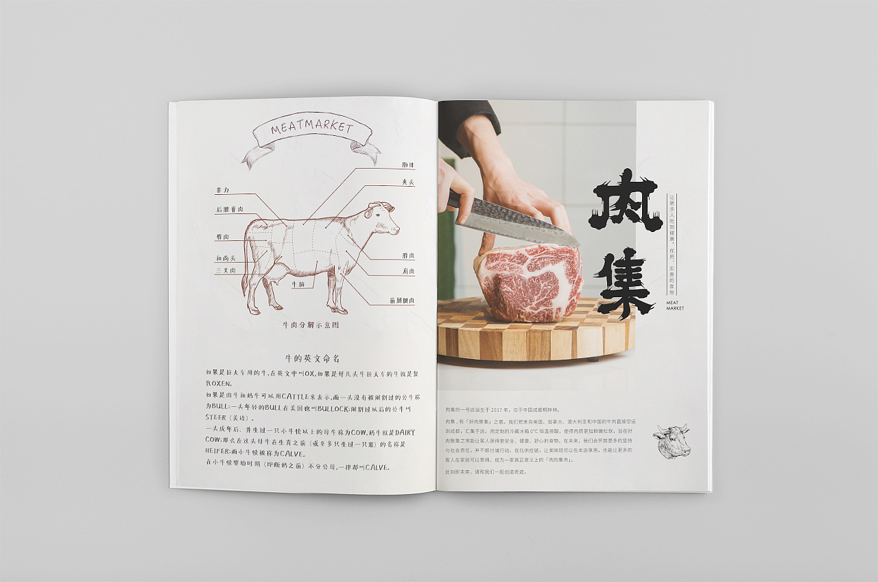 菜单、宣传册
