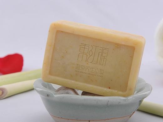 YOUD 标志设计作品之——东江源.养生小镇