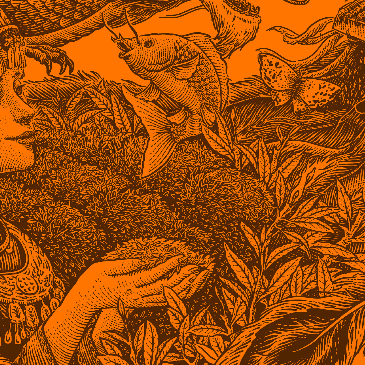 合作插画 | 鱼玥黄金茶（图ZMjkyMDQyMjcy） - 商业插画 - 站酷设计师花椒的Alex原创素材 - 站酷ZCOOL