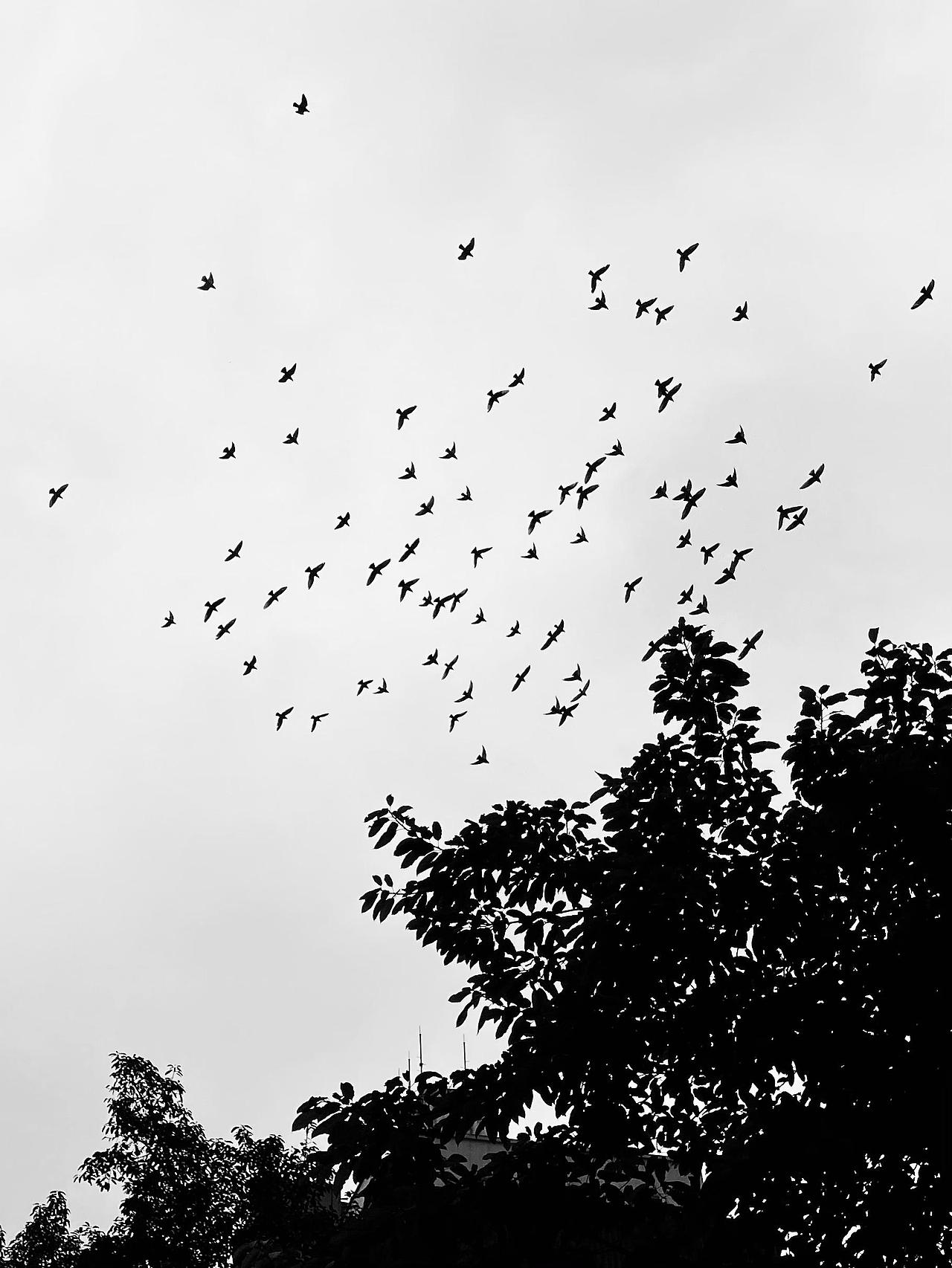 随行（图ZMjY0Mjg3NDUy） - 时尚/艺术摄影 - 站酷设计师yanhai250原创素材 - 站酷ZCOOL