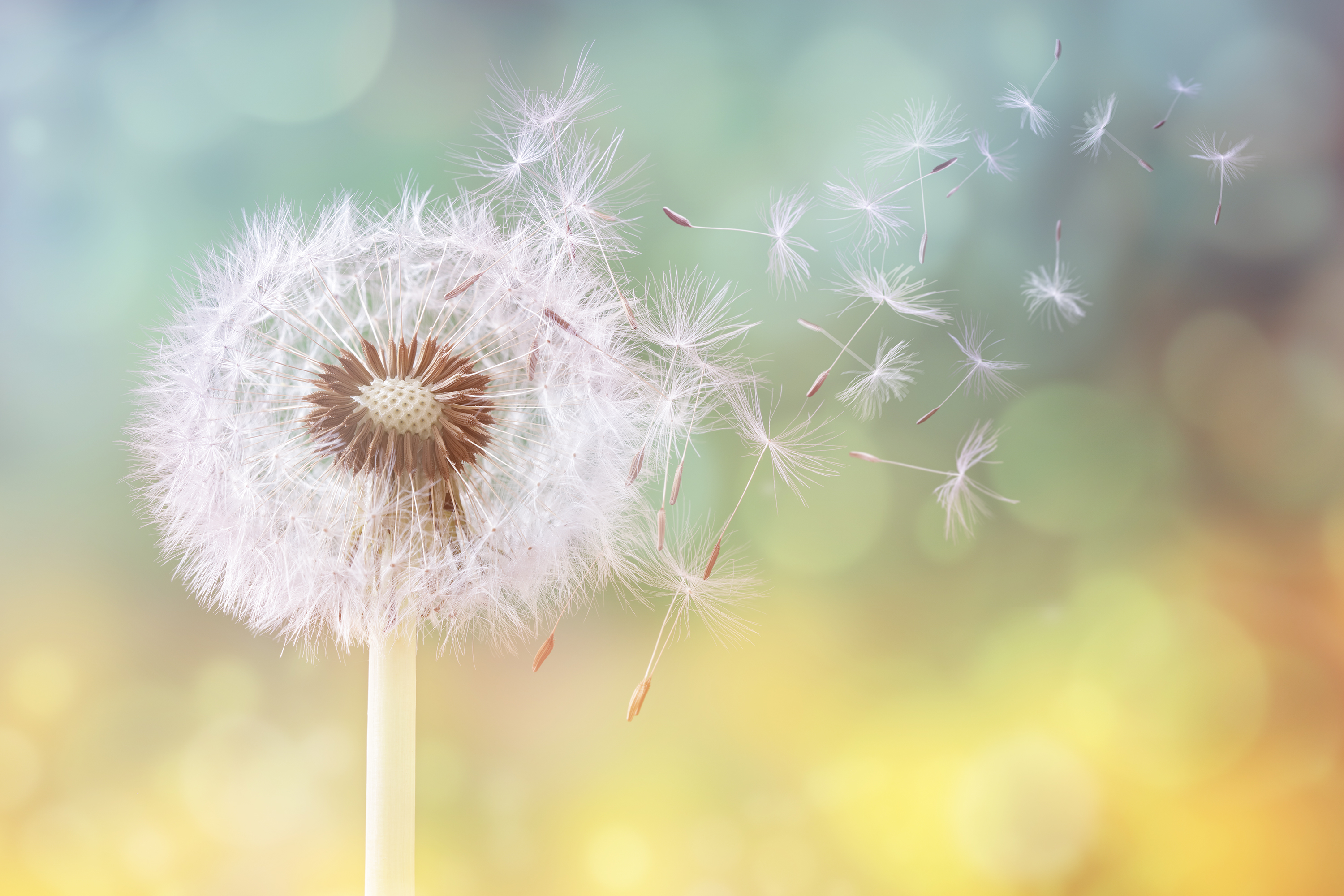 度澤的個(gè)人主頁(yè)（封面預(yù)覽） - 主頁(yè)封面設(shè)置 - 站酷設(shè)計(jì)師度澤原創(chuàng)素材 - 站酷ZCOOL