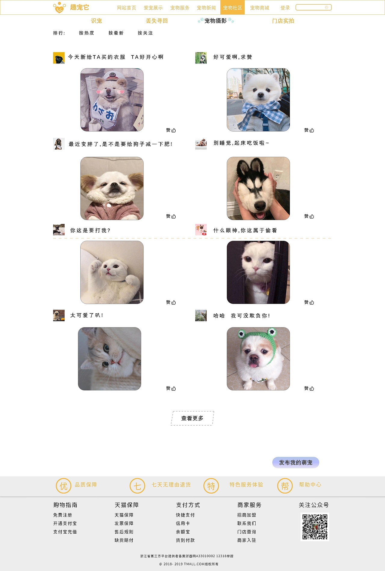 趣宠它网站（图ZMTgwMjUxNDg0） - 企业官网 - 站酷设计师马浩设计原创素材 - 站酷ZCOOL