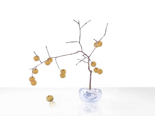 把好吃带回家——百果园