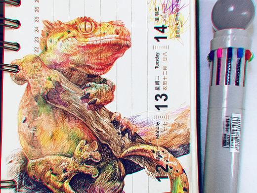 变色龙_手绘习作