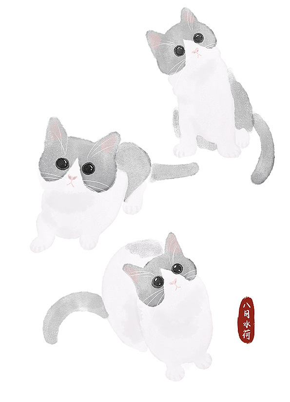 24只可爱到想咬一口的蓝白猫|插画|创作习作|八月水荷_原创作品-站酷