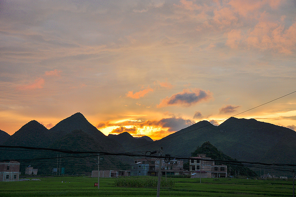 但是它又慷慨地幾乎每天都能遇見