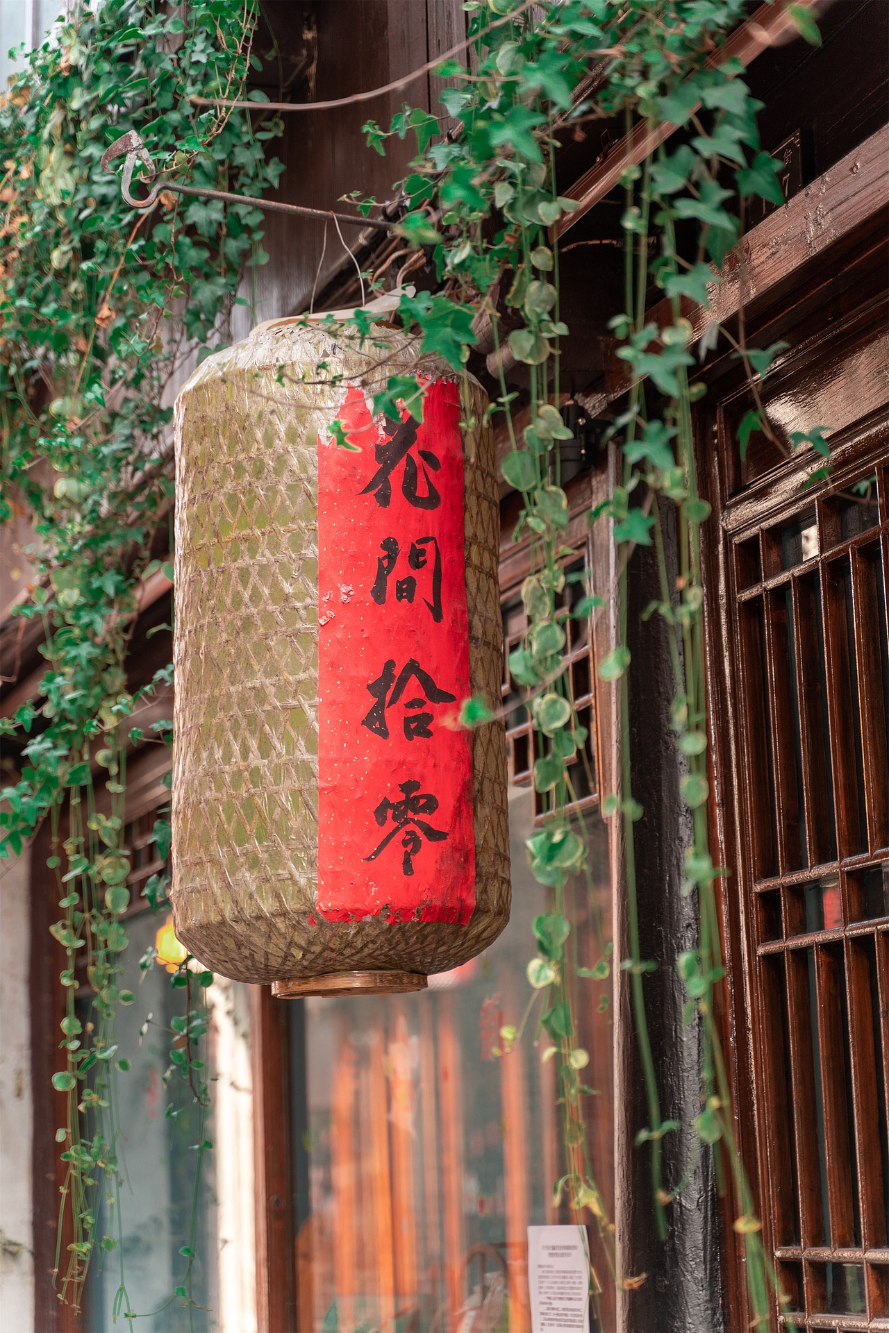 2020周庄古镇春色