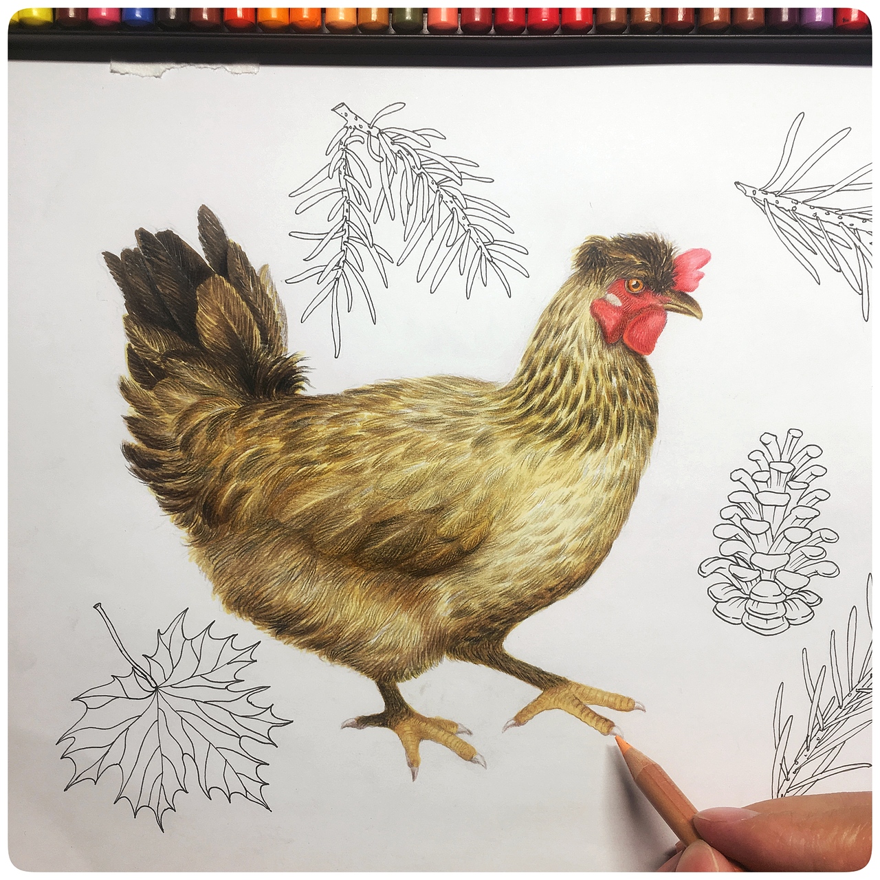 写实手绘鸡蛋包装插画