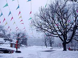 寒风萧萧 飞雪飘零 长路漫漫 踏歌而行 回首 望星辰...