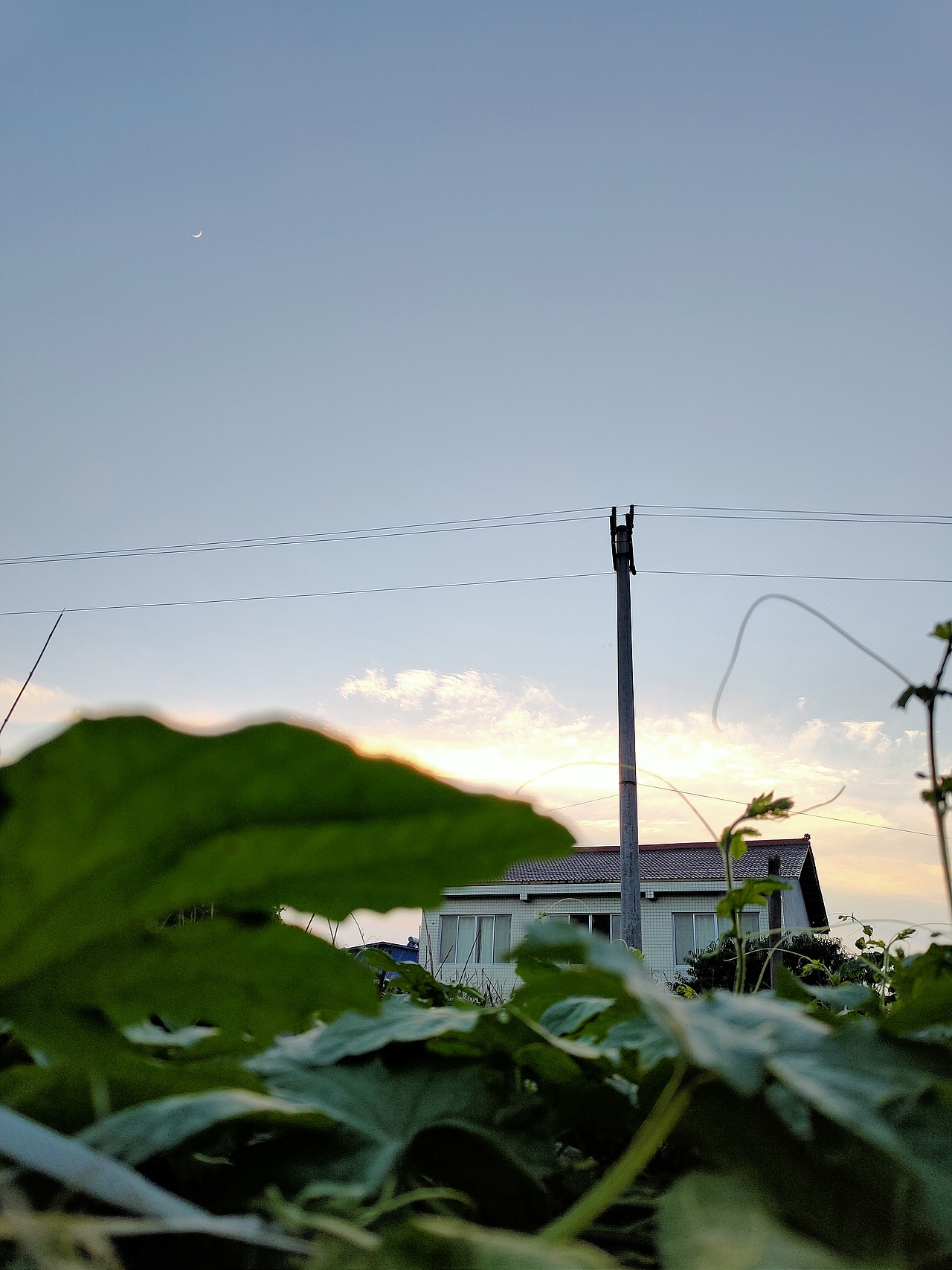 隨手拍（圖ZMjM3NTI2MDg4） - 風(fēng)光攝影 - 站酷設(shè)計(jì)師何處尋安暖原創(chuàng)素材 - 站酷ZCOOL