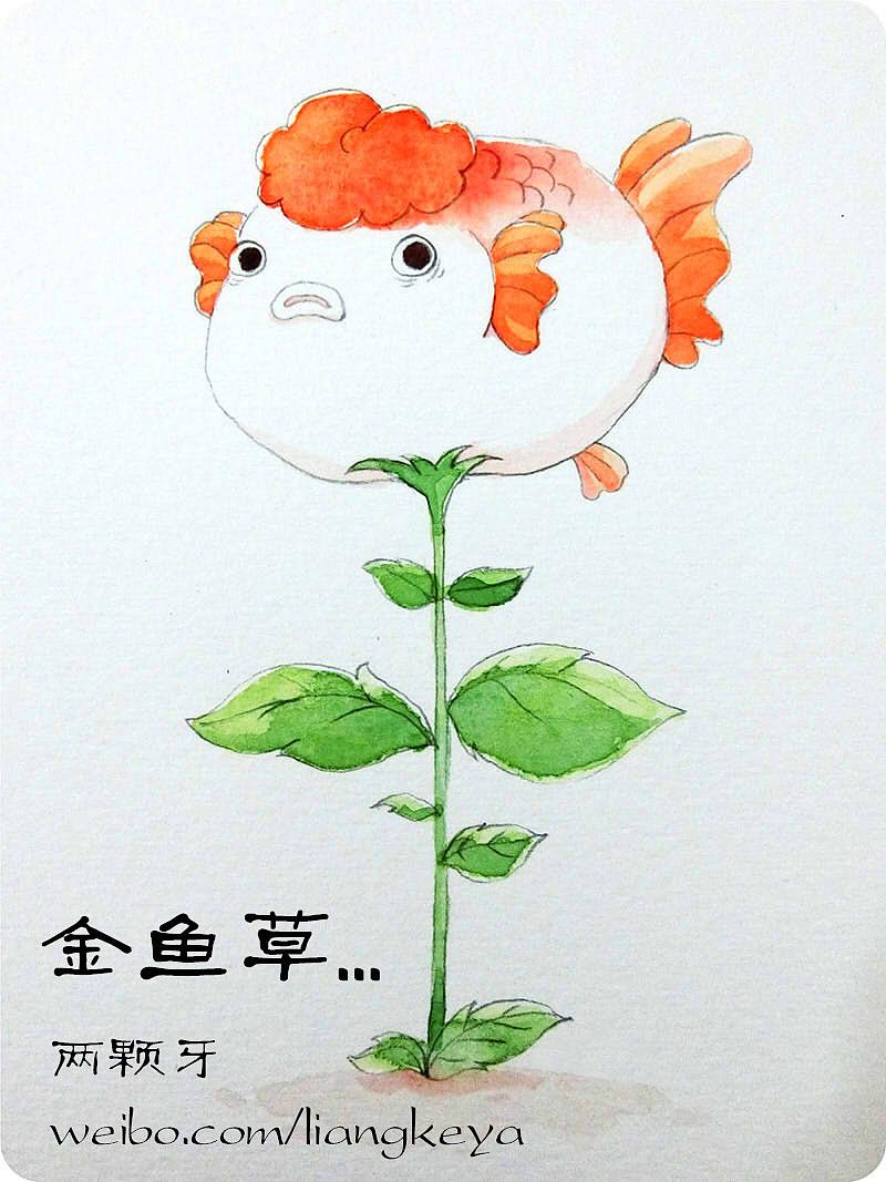 水彩练习金鱼草