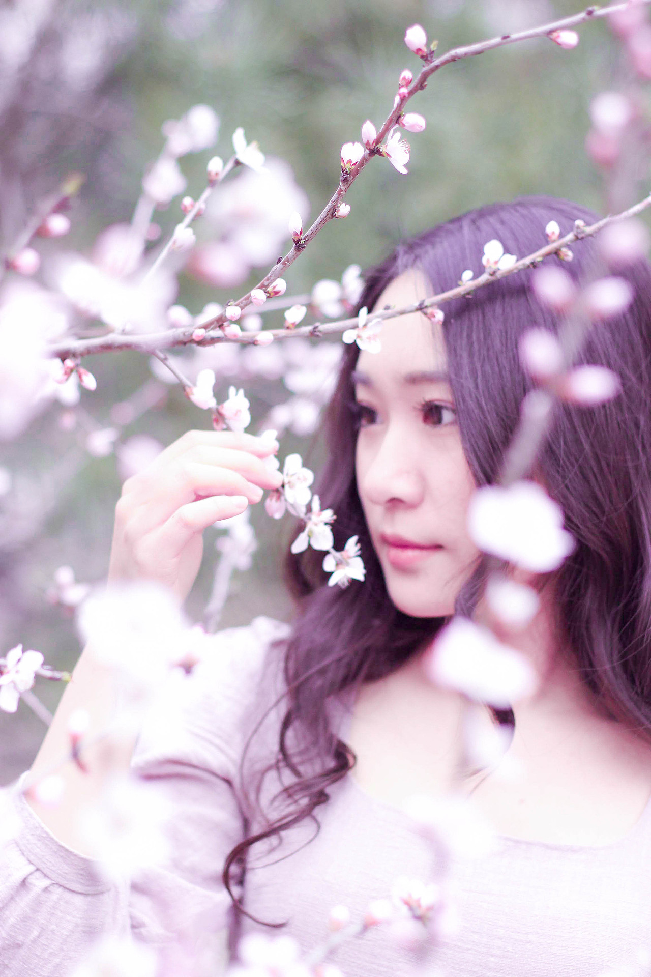 sakura 樱花（图ZNDUwMjg5MzI=） - 人像摄影 - 站酷设计师有一个落落原创素材 - 站酷ZCOOL