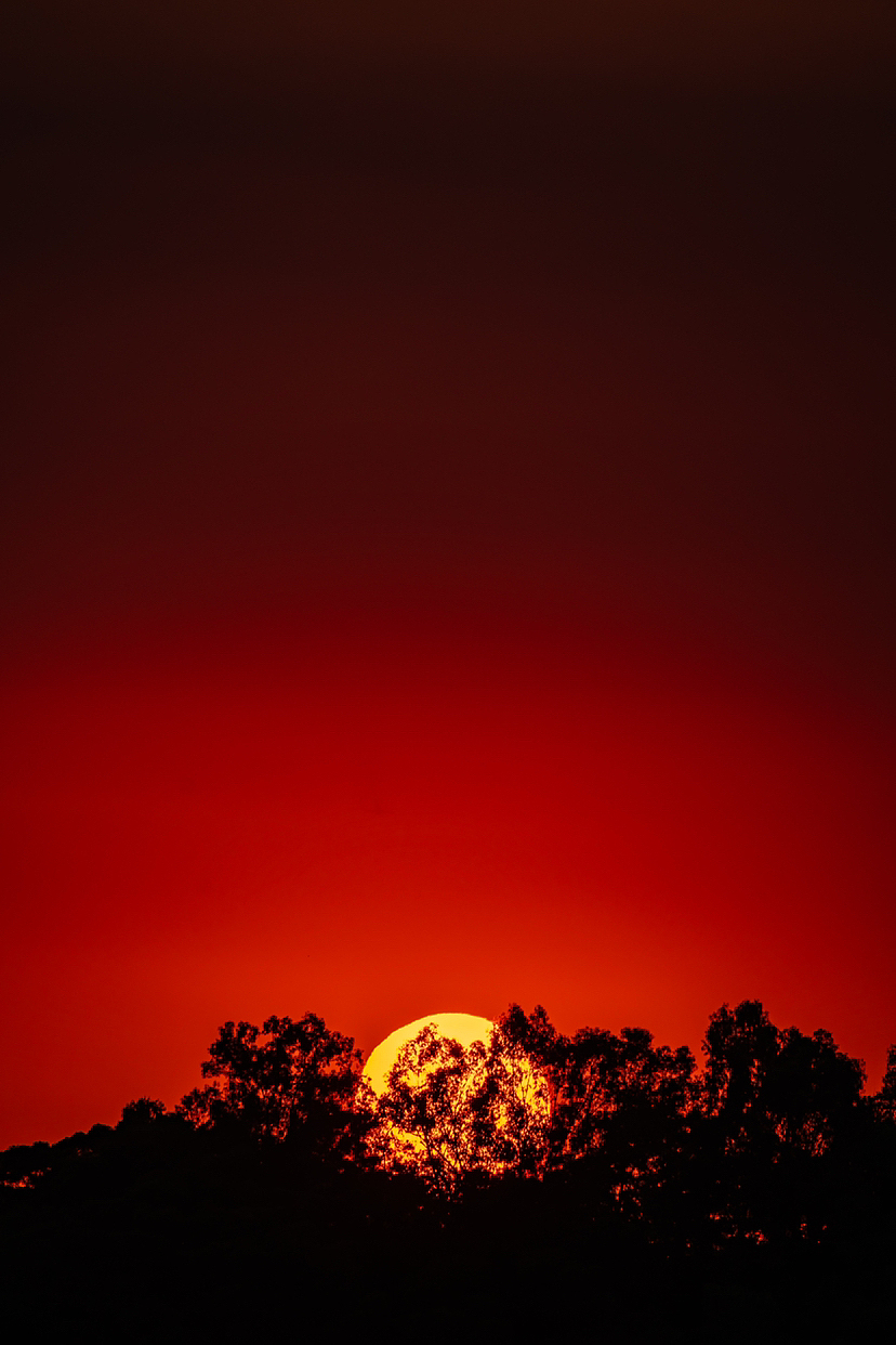 日落收集者/vol.002