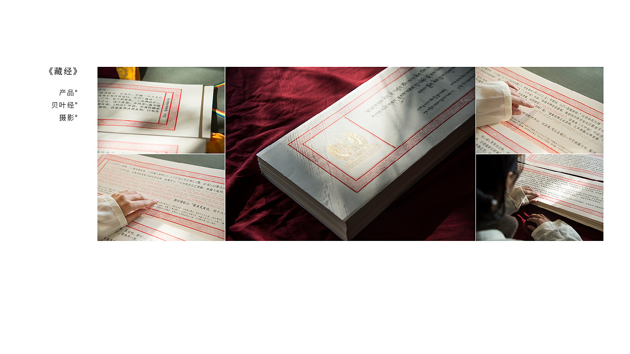 摄影静物 | 整理