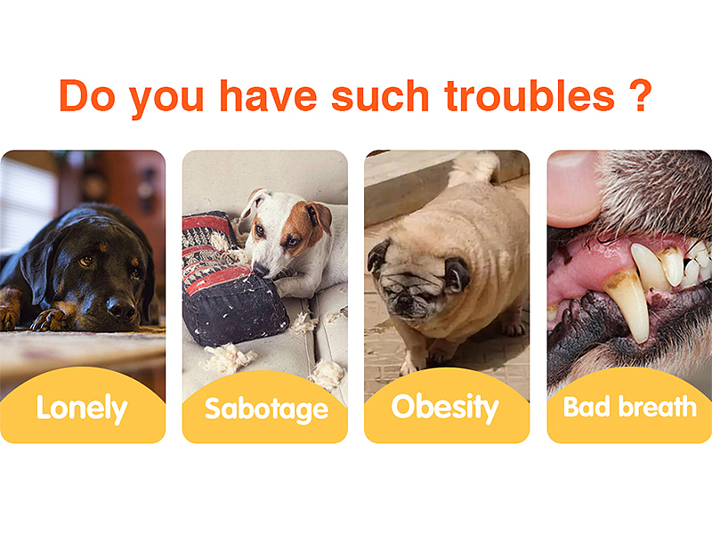 亚马逊狗狗充气大网球主宠互动玩具球（图ZMjg1NzU0Mjcy） - 电商 - 站酷设计师jsxzwsz12345原创素材 - 站酷ZCOOL